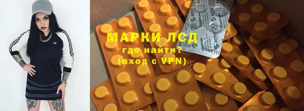 крисы Губаха