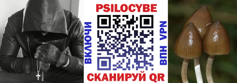 Псилоцибиновые грибы MAGIC MUSHROOMS  закладки  Чадан 